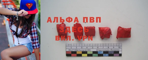 мет Алексин