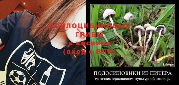 прущий лед Алексеевка