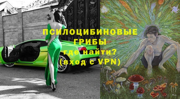 мет Алексин