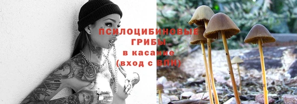 a pvp Алзамай