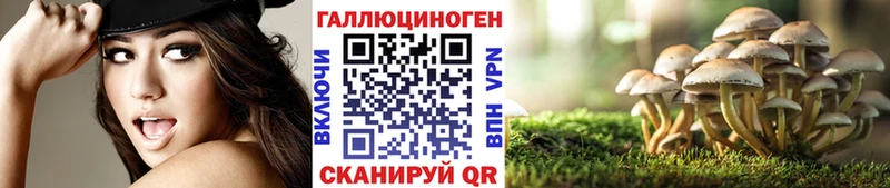 хочу   Арск  Псилоцибиновые грибы мицелий 